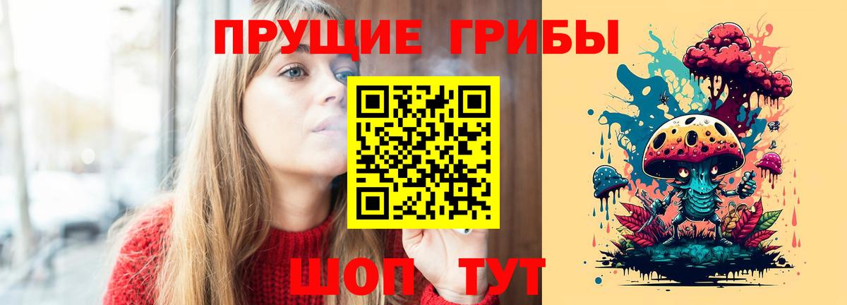 Псилоцибиновые грибы Psilocybine cubensis Благодарный