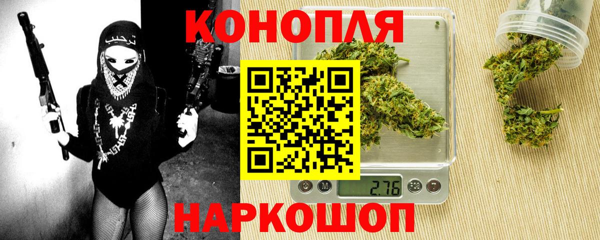 Благодарный  Канабис OG Kush  Каннабис семена  Вход с VPN  Канабис план 